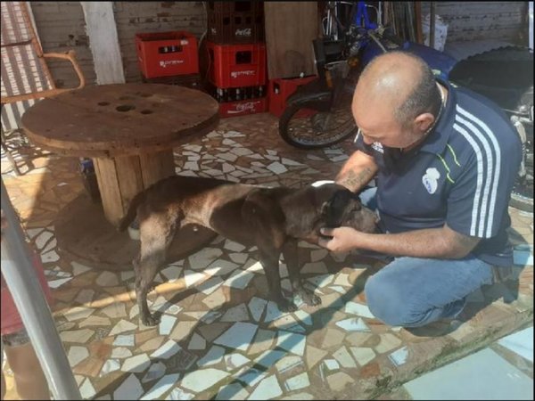 Tiran a jagua'i dentro de un pozo para robar despensa