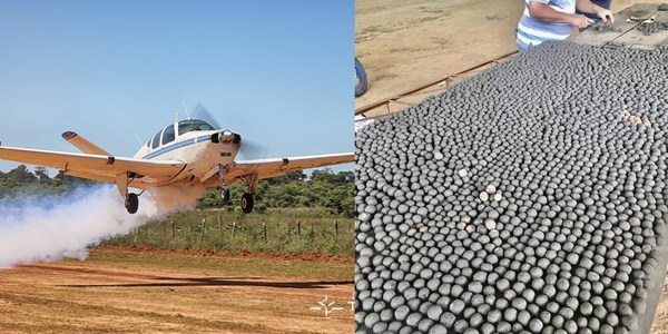 LANZAN DESDE AVIONES BOMBAS DE SEMILLAS PARA REFORESTAR ZONAS INCENDIADAS