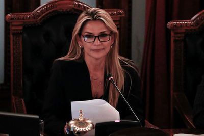 Consejo político indígena de Argentina demanda a Jeanine Áñez » Ñanduti