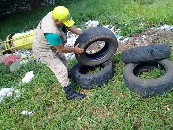 Extreman acciones preventivas contra el dengue