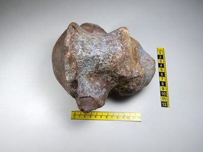 Encuentran un primer fósil de dinosaurio enano en el sur de Ecuador - Ciencia - ABC Color