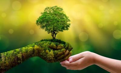 "YoU-CAN" es una nueva red de acción climática juvenil » Ñanduti