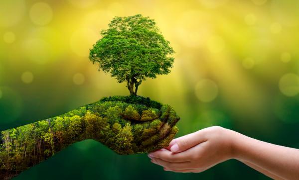 "YoU-CAN" es una nueva red de acción climática juvenil » Ñanduti