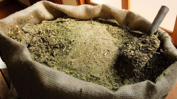 POR PRIMERA VEZ PARAGUAY SERÁ SEDE DEL CONGRESO SUDAMERICANO DE YERBA MATE