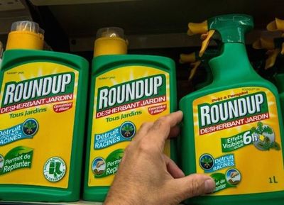 Francia retira permisos de venta a 36 herbicidas