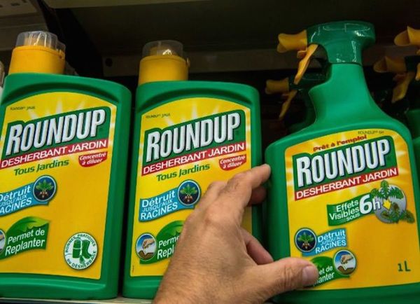Francia retira permisos de venta a 36 herbicidas