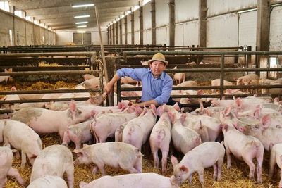 Institución cooperativa anuncia grandes inversiones para el 2020