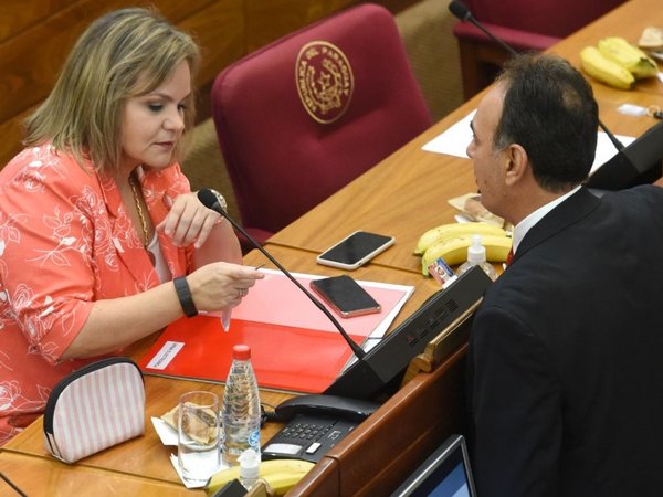 Lilian advierte “problemas graves” con el uso del sistema electrónico