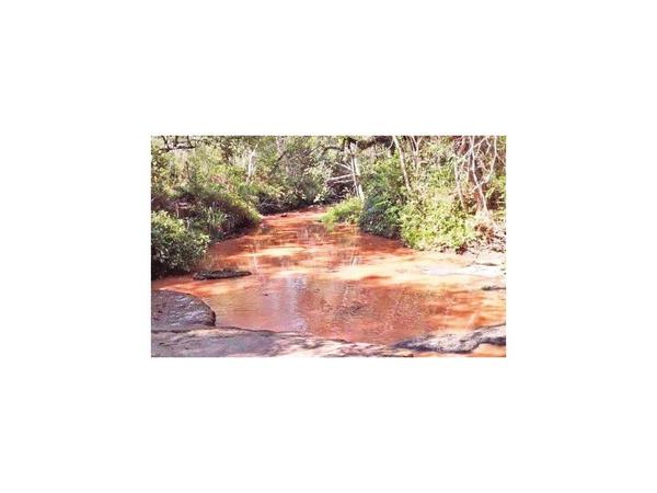 Paso Yobái: Denuncian aparente contaminación de cauce hídrico
