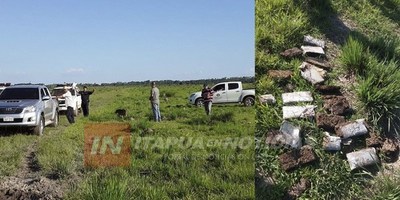 HALLAN MARIHUANA EN ESTABLECIMIENTO GANADERO DE GRAL. DELGADO