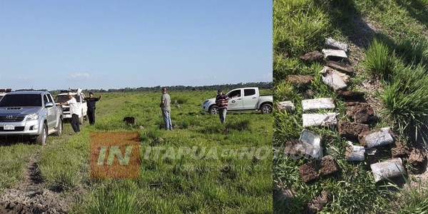 HALLAN MARIHUANA EN ESTABLECIMIENTO GANADERO DE GRAL. DELGADO