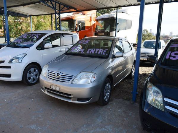 Acuerdo automotriz entre Paraguay y Brasil no golpeará a importadores de vehículos usados