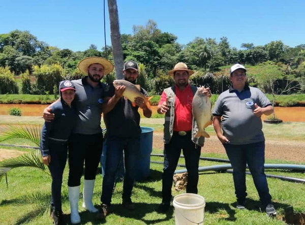 Proyectan creación de Consejo Regional de Hortigranjeros en AP