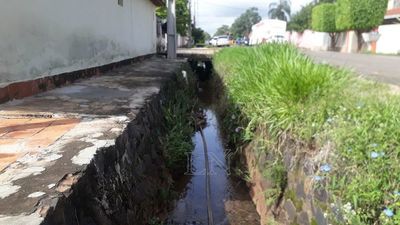 Aumentan casos sospechoso de dengue en San Pedro