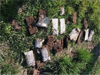 Hallan 11 kilos de marihuana en descomposición en Itapúa