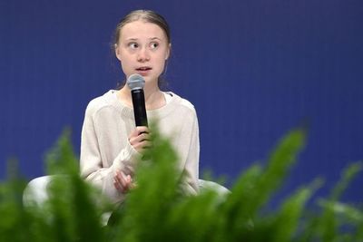 Bolsonaro llama “mocosa” a Greta Thunberg - Mundo - ABC Color