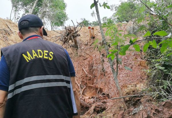 Irregularidades en extracción de oro