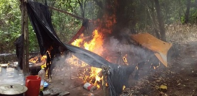 Anulan producción de 18 toneladas de marihuana en Amambay