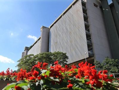 La economía paraguaya crecerá 4,1 % en el 2020, según el Banco Central. Este año se ubicó en 0,2% - ADN Paraguayo