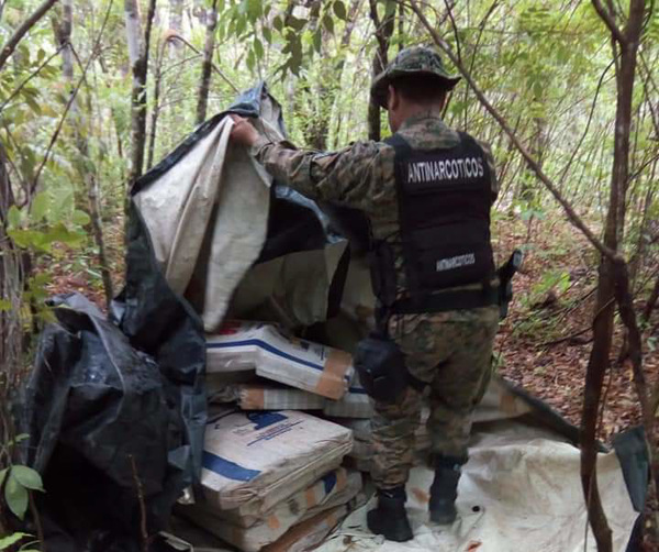 Incautan 587 kilos de marihuana en Reserva Paso Bravo