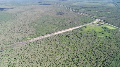 SENAD incautó 300 kg de cocaína en pista de aterrizaje del Chaco