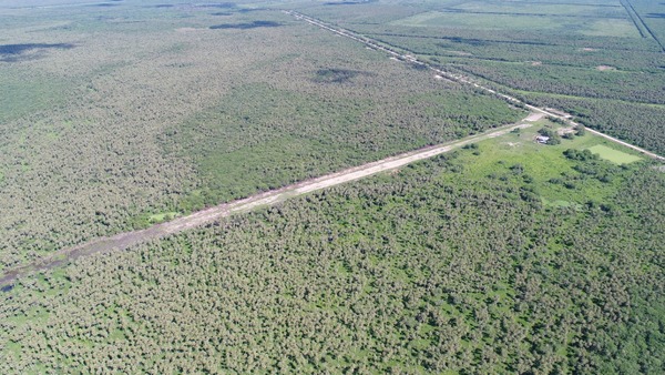 SENAD incautó 300 kg de cocaína en pista de aterrizaje del Chaco