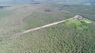 Incautan 300 kilos de cocaína tras enfrentamiento | Noticias Paraguay