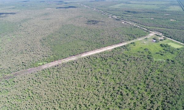 Incautan 300 kilos de marihuana tras enfrentamiento con narcotraficantes