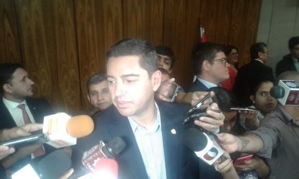 Veto a OGD y Díaz Verón: Alliana reconoce que autoridades deben hacer “mea culpa” sobre corrupción - Nacionales - ABC Color