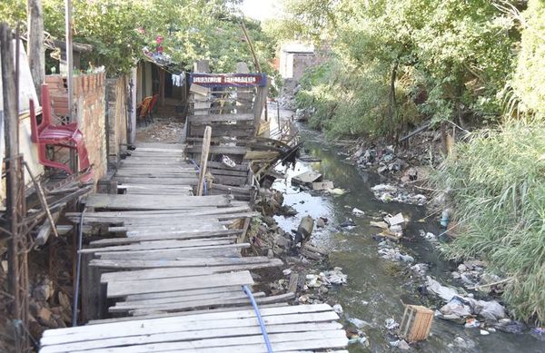 Alertas por brotes de dengue y posible ingreso de fiebre amarilla - Nacionales - ABC Color