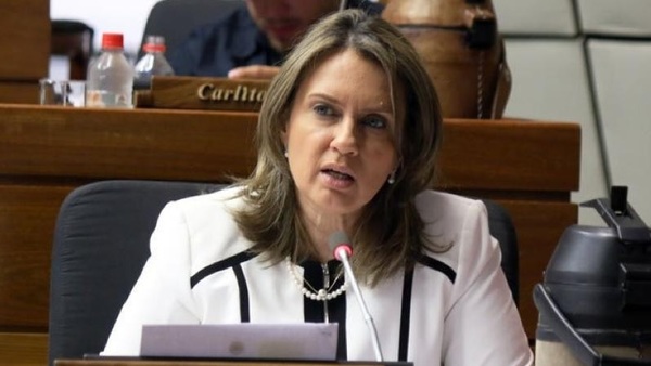 Presentan proyecto de modificación de la ley de Financiamiento Político