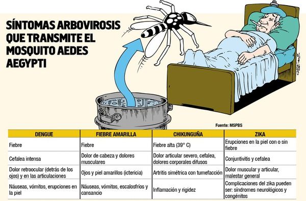 El dengue aumenta y la fiebre amarilla acecha - Locales - ABC Color