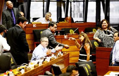 Sancionan ley para habilitar empresas solo en 72 horas - Política - ABC Color