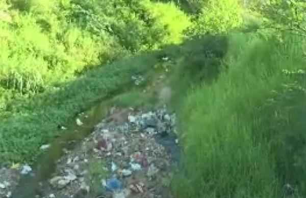 Inician limpieza en arroyo repleto de basura en San Lorenzo - SNT
