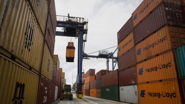 Exportación de carne de ave cae un 12,36%