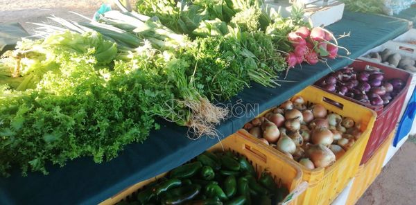 Feria Granjera ofrece productos frescos para fiestas de fin de año