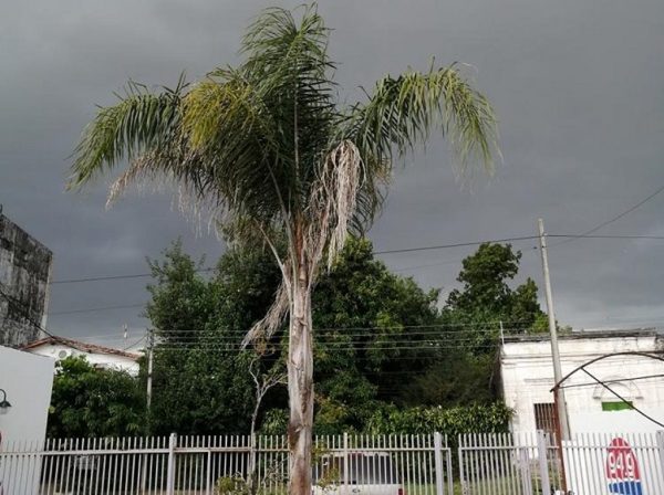 Meteorología emite alerta de tiempo severo para cinco departamentos