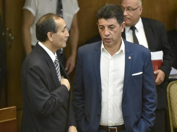 Para Ríos, es “grave” que otros Estados digan a la justicia del país lo que debe hacer - Nacionales - ABC Color