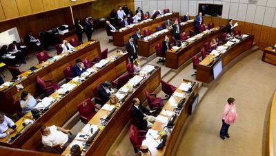 Senado posterga el tratamiento de ley que elimina a los parlasurianos - Nacionales - ABC Color