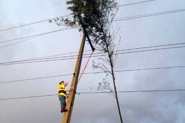 Sopló viento y 34 líneas de la ANDE están fuera de servicio | Noticias Paraguay