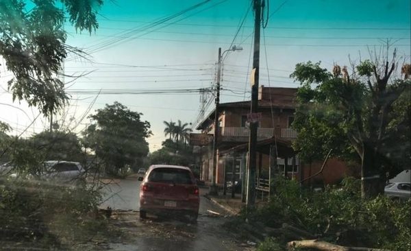 HOY / Nuevamente varias zonas quedan sin luz: Ande responsabiliza a fuertes vientos