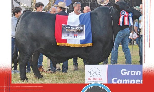 Toro paraguayo es el mejor del mundo