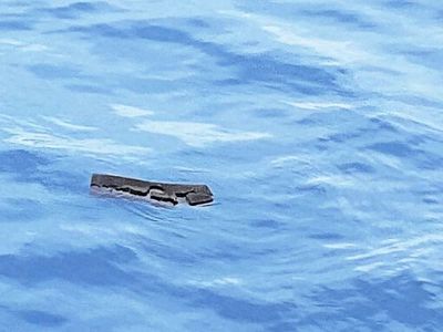 Fuerza Aérea de Chile descarta encontrar supervivientes de avión siniestrado - Mundo - ABC Color