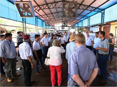Sector lechero crece al menos 8% y productores piden mejor precio