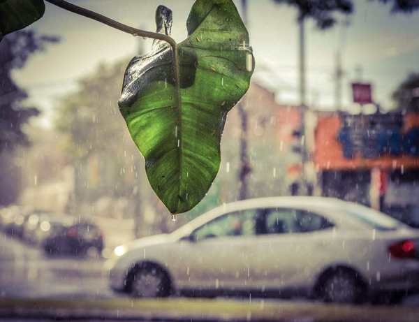 Anuncian una jornada calurosa y con lluvias - ADN Paraguayo