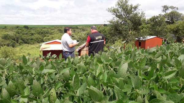 INTERVIENEN PROYECTO DE EXPLOTACIÓN AGRÍCOLA POR INCUMPLIMIENTO DE LAS MEDIDAS DE PROTECCIÓN AMBIENTAL