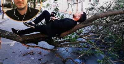 TRANQUI KAPE Cronista hizo la siesta sobre un árbol caído