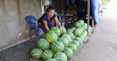 El rollo compra sandía para bajar rollitos extra