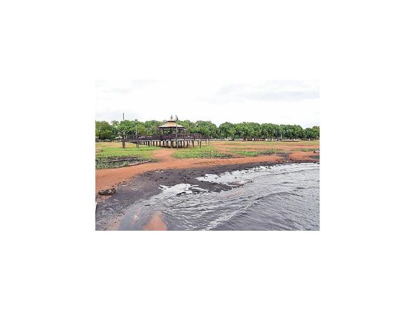 Buscan visibilizar el problema del lago por medio del arte
