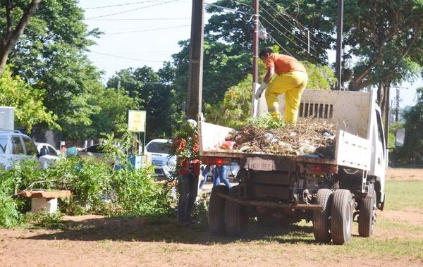 Eliminar criaderos para frenar avance del mal - Locales - ABC Color